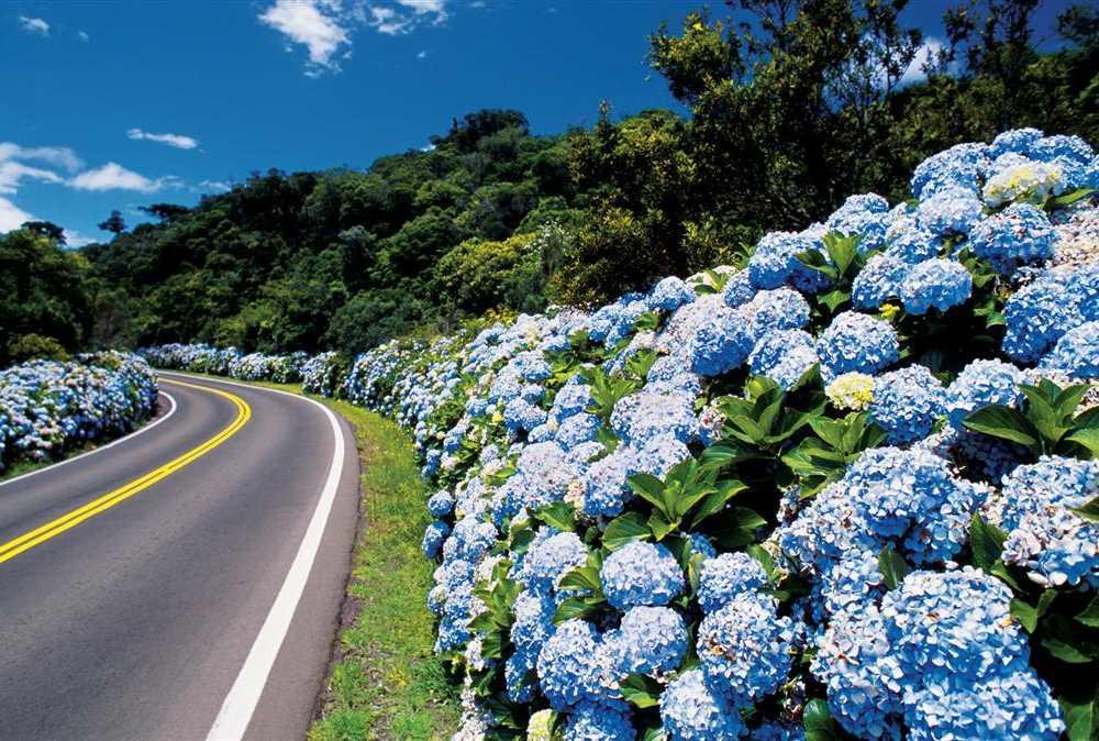 Caminho Das Colinas Gramado Extérieur photo