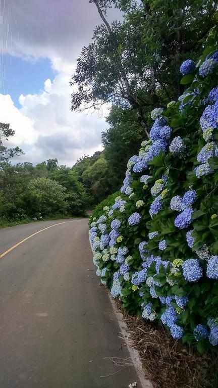 Caminho Das Colinas Gramado Extérieur photo